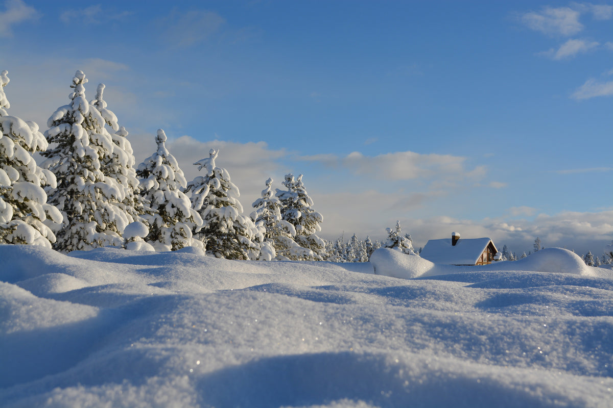 modern-3-piece-aluminium-print-beautiful-snow-landscape