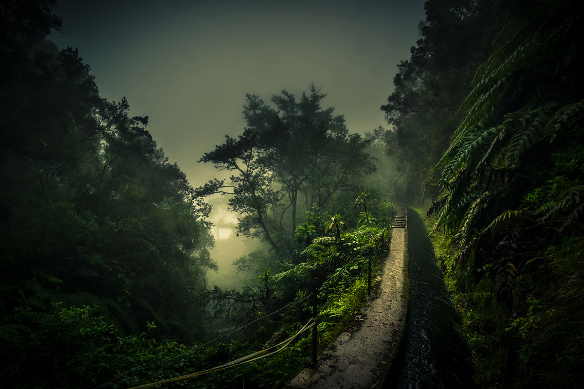 canvas-print-levada-walk-x