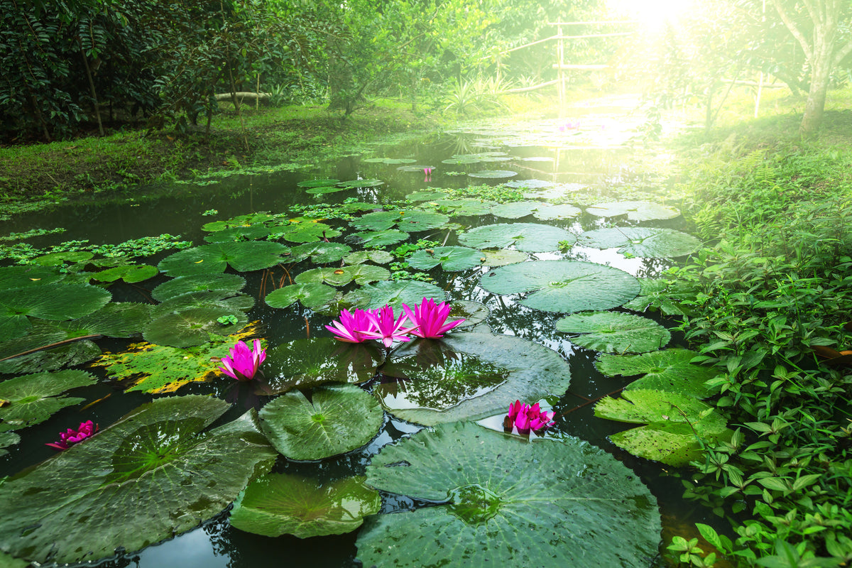 modern-3-piece-canvas-print-garden-pond