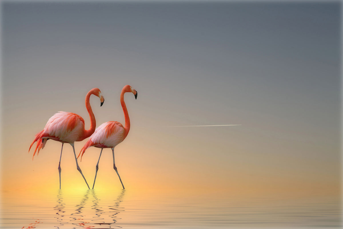 framedposter-print-serenity-ii