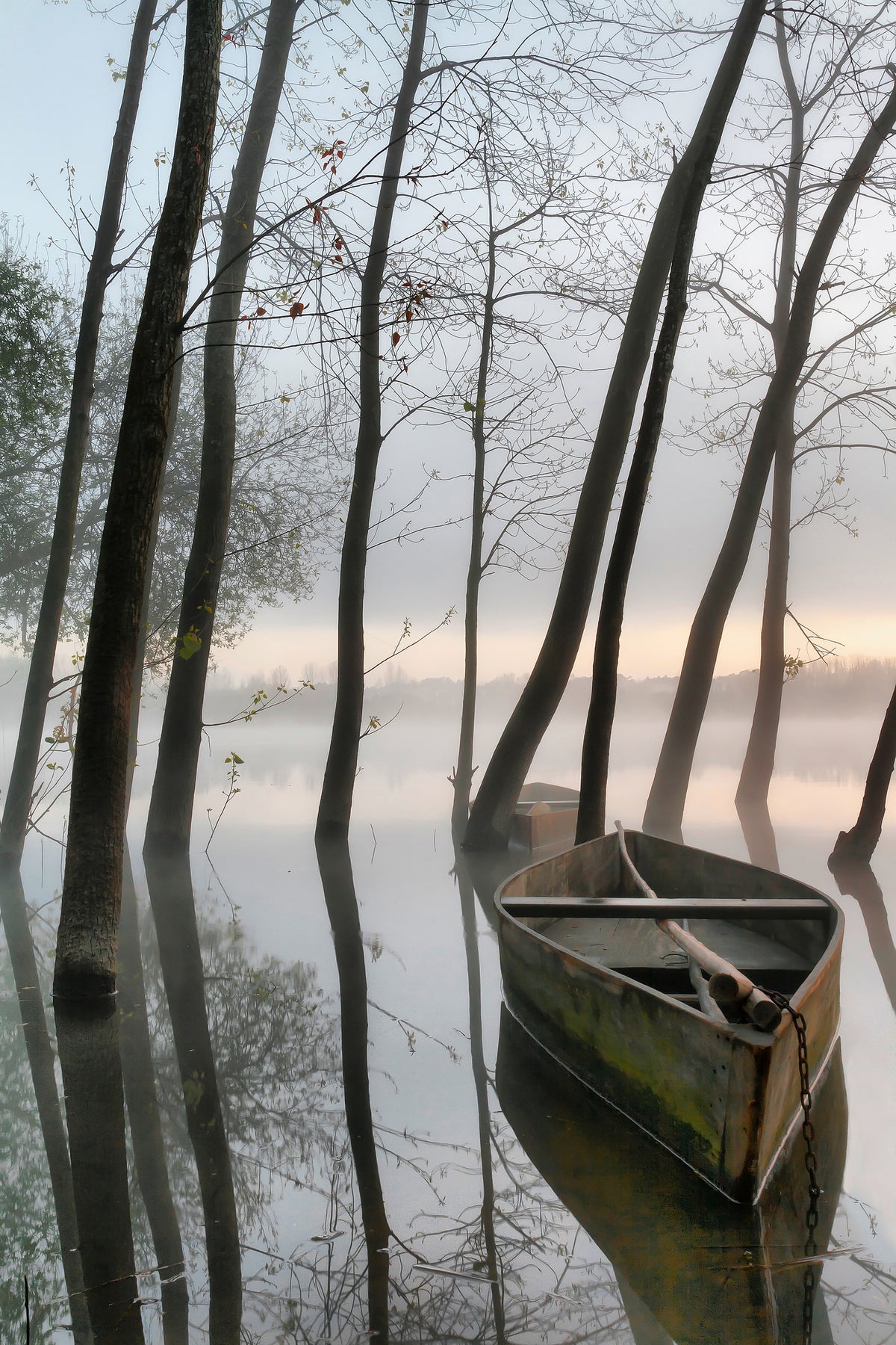 acrylic-print-serene-dawn-x