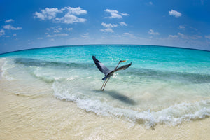 framedposter-print-takeoff-x