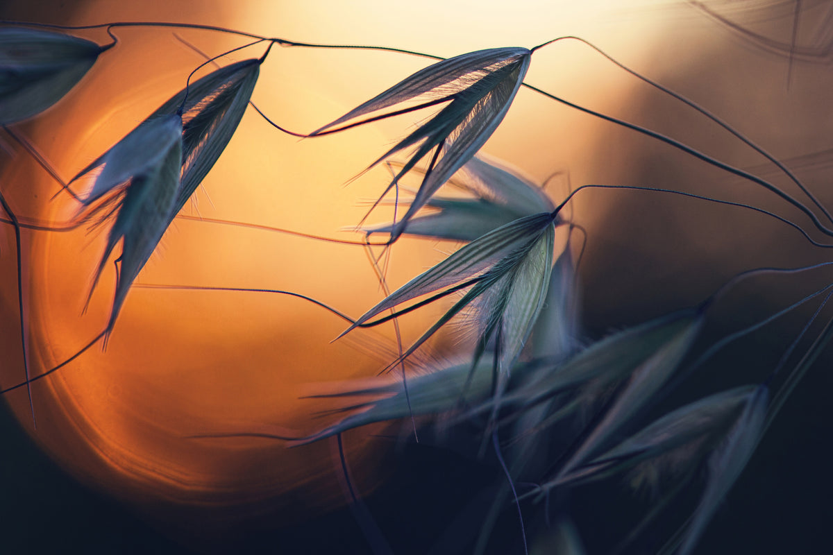 modern-3-piece-canvas-print-sunset-p