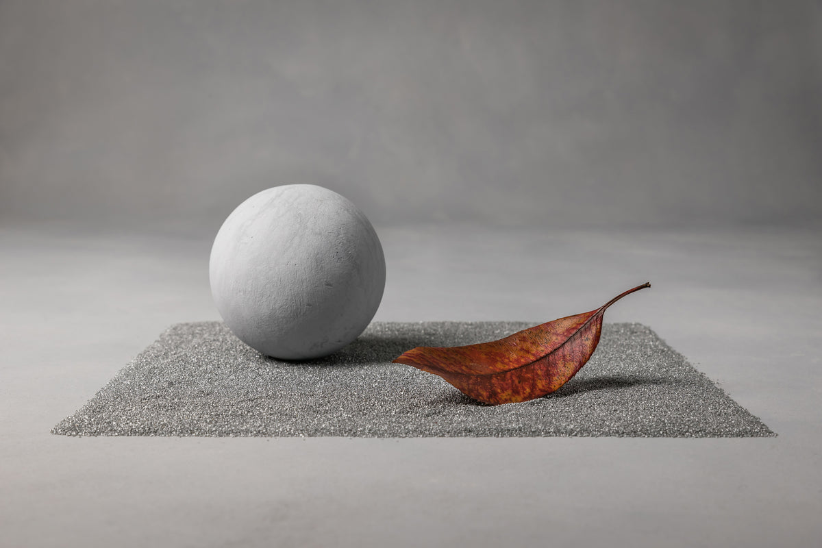 framedposter-print-moon-landing