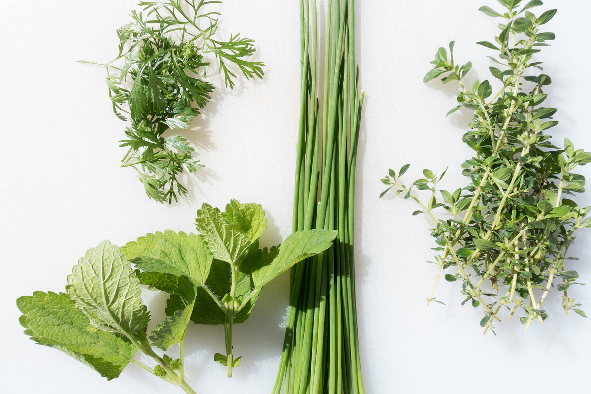 framedposter-print-fresh-herbs