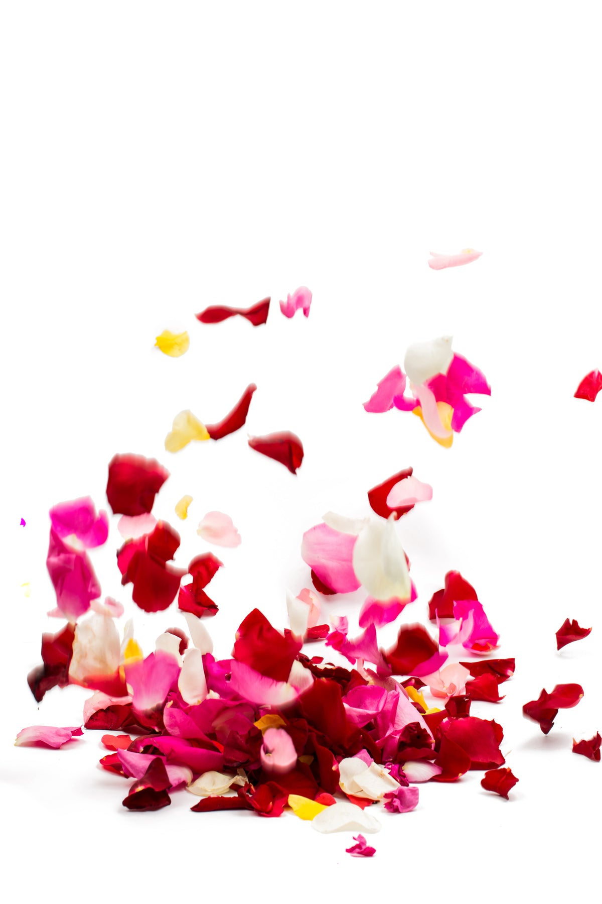 acrylic-print-bed-of-rose-foliage