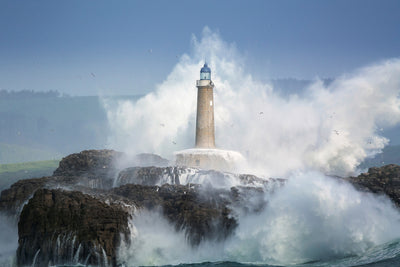 poster-print-wild-sea-x