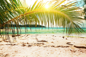 acrylic-print-swing-out-of-the-hammock