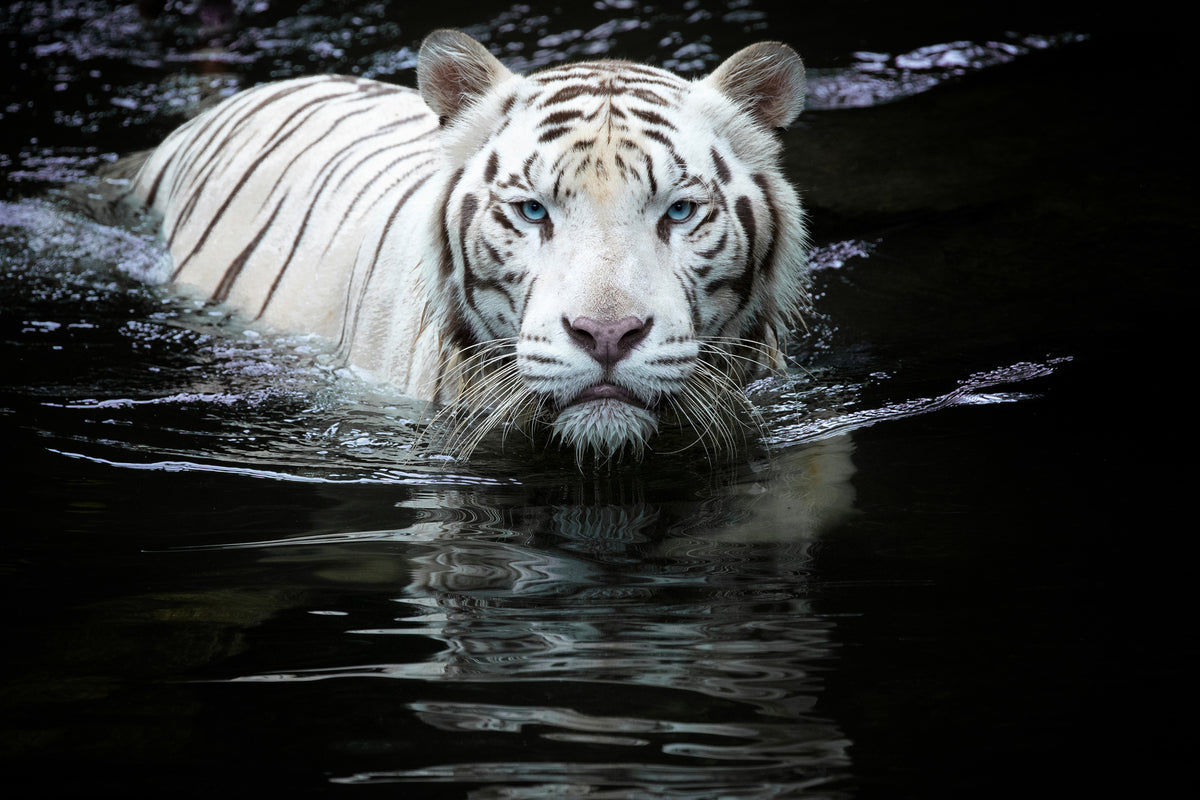 canvas-print-looking-at-me-looking-at-you