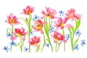 poster-print-spring-delight-x