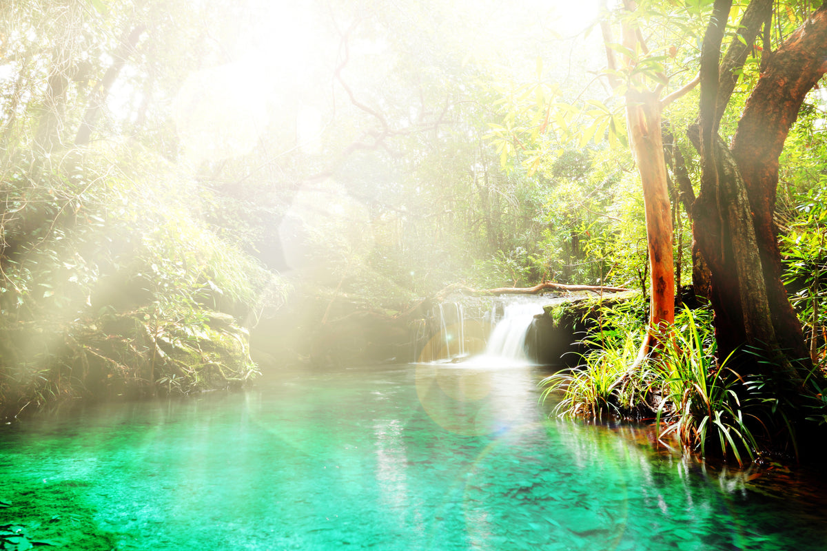 framedposter-print-the-green-lagoon