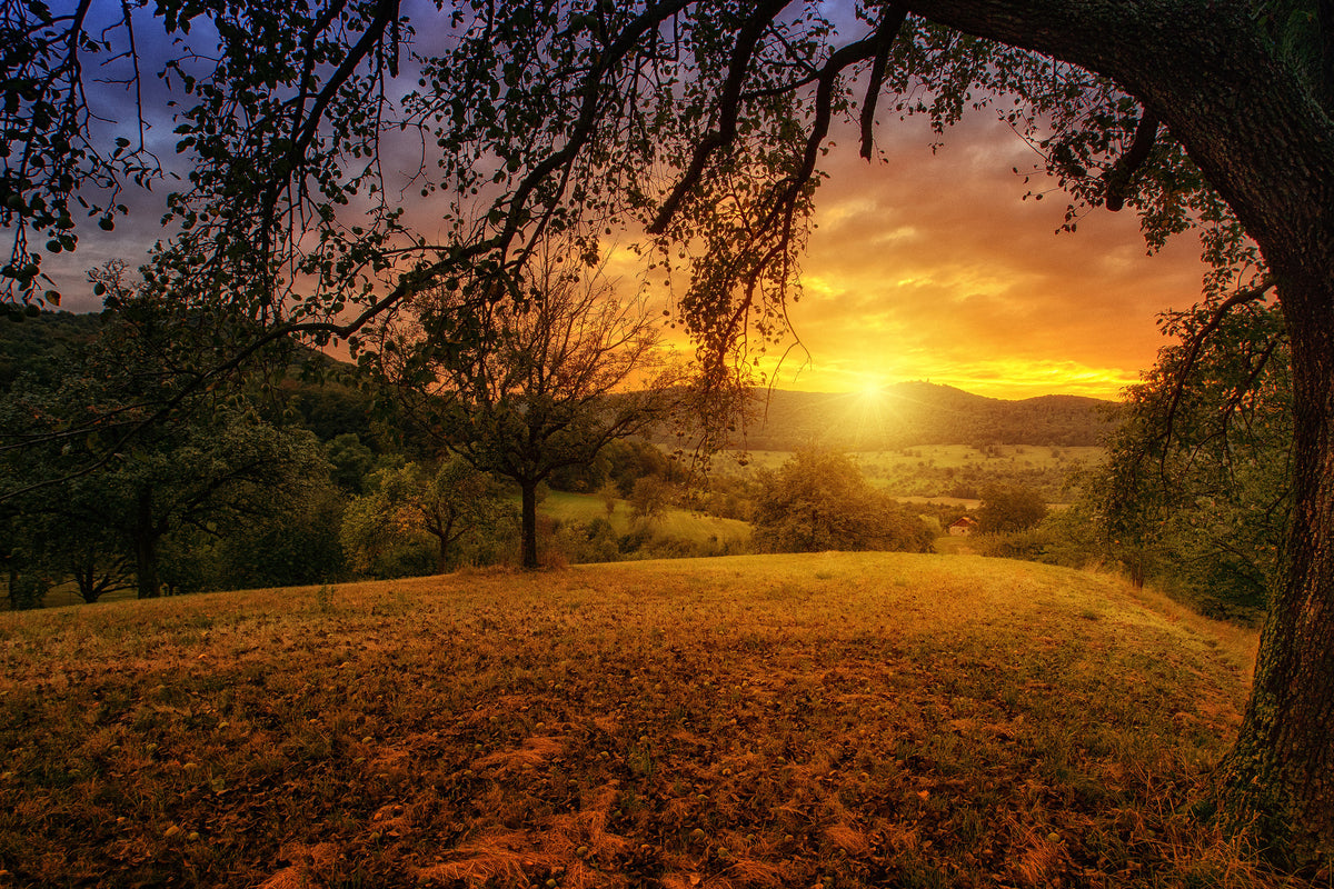 3-piece-acrylic-print-a-landscape-in-the-sunset