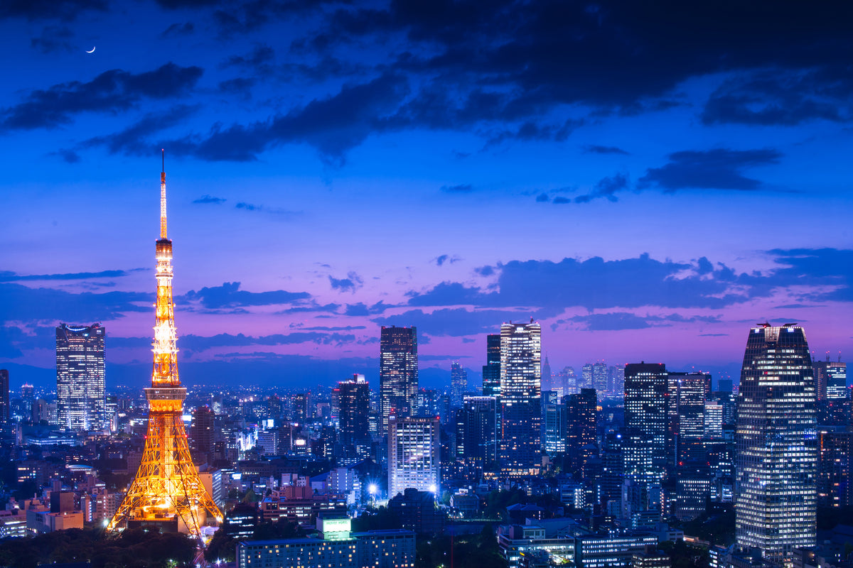 poster-print-tokyo-night-view