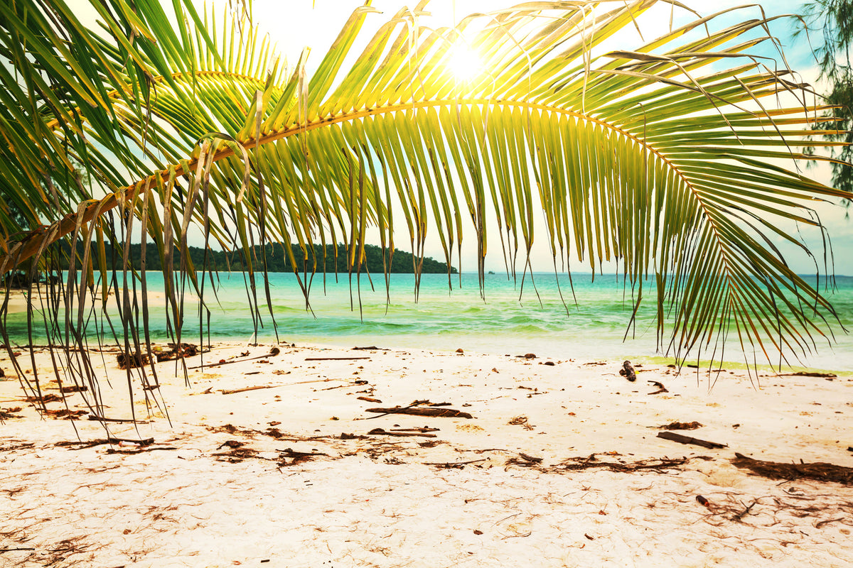 framedposter-print-swing-out-of-the-hammock