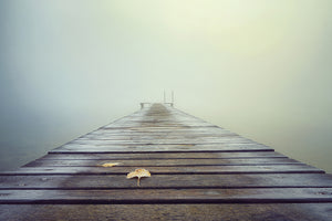 poster-print-cold-and-misty-morning-x