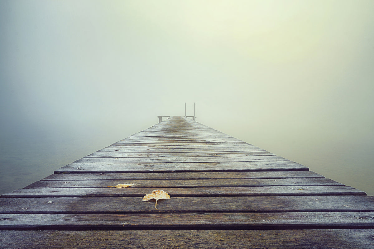 poster-print-cold-and-misty-morning-x