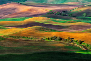 aluminium-print-the-palouse