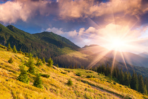 framedposter-print-beginning-of-autumn
