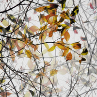 4-piece-canvas-print-autumn-song