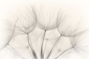 3-piece-acrylic-print-no-title