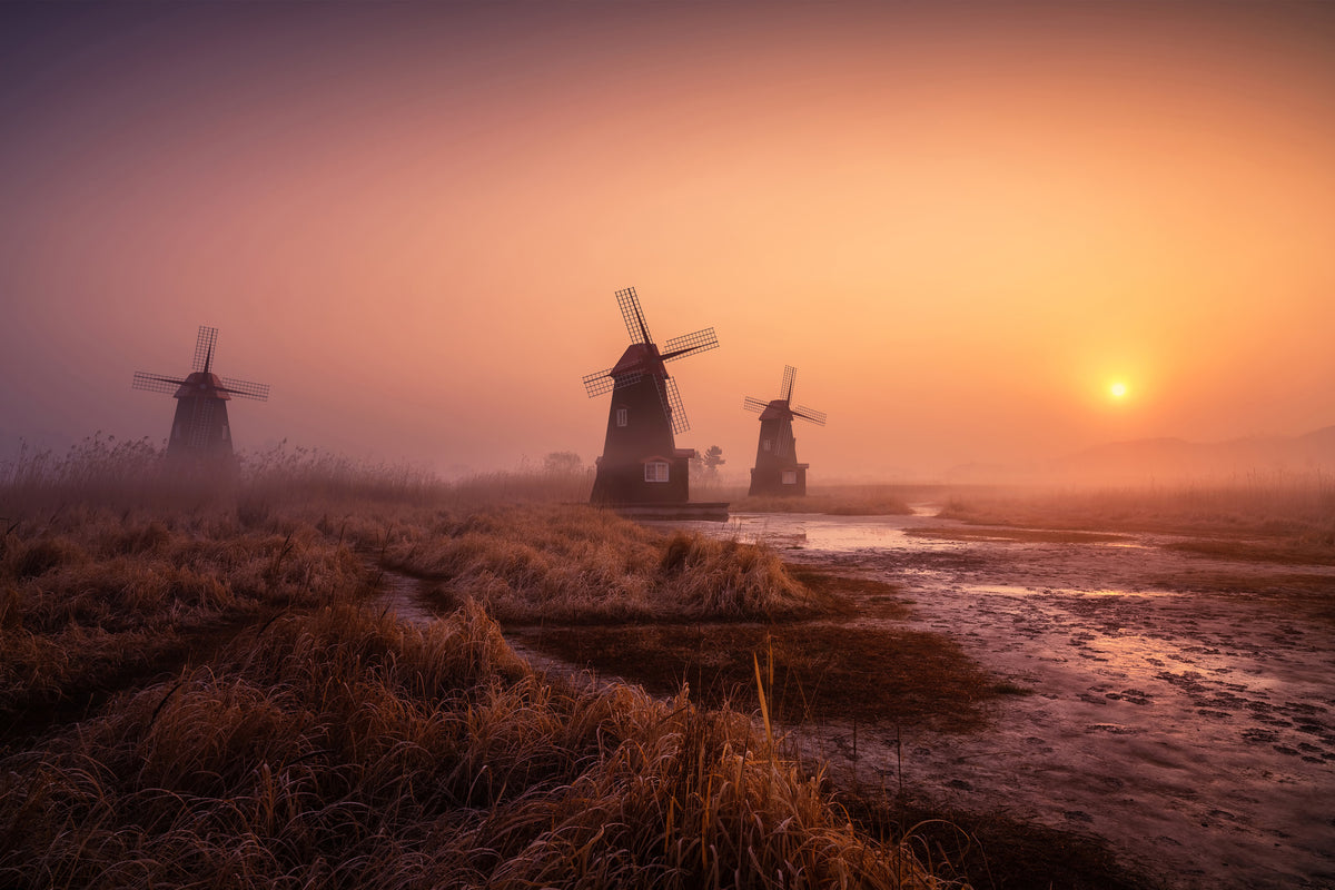 framedposter-print-foggy-morning-xji