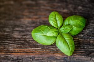 modern-3-piece-aluminium-print-basil-leaf-in-xxl