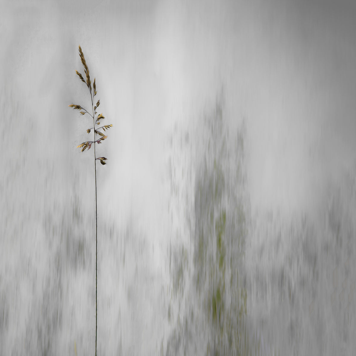 9-piece-aluminium-print-blade-of-grass