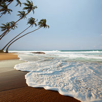 canvas-print-the-rock