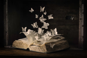 poster-print-lepidopterology