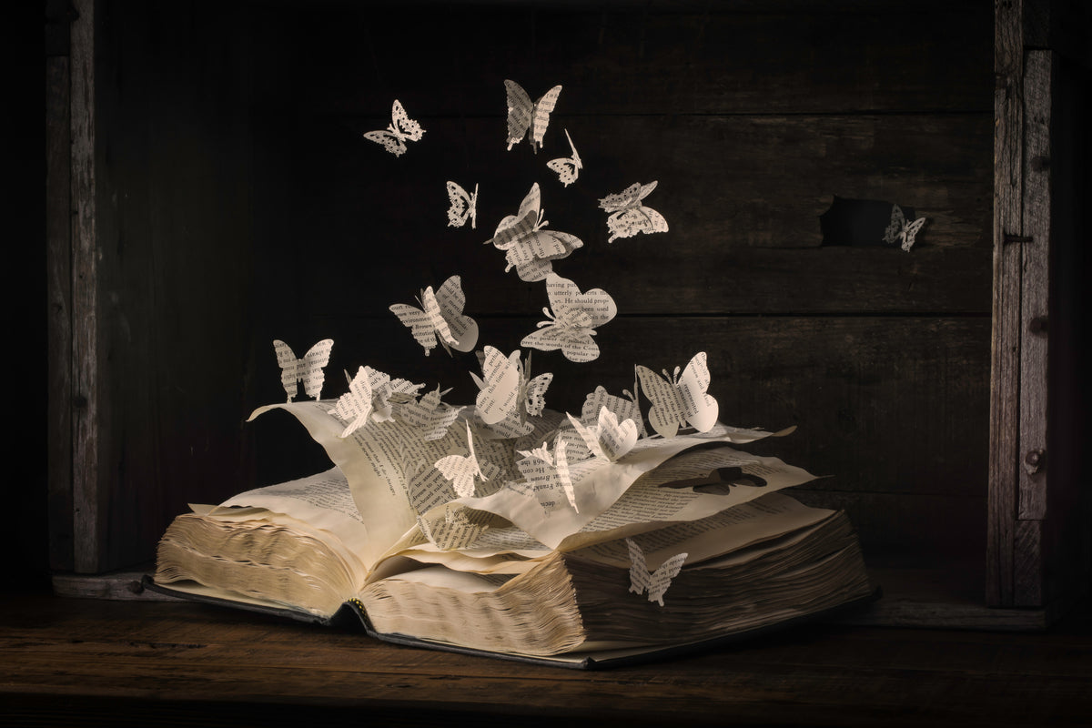 poster-print-lepidopterology