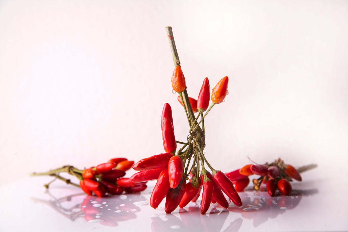 aluminium-print-a-bouquet-of-chili