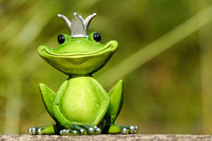 3-piece-acrylic-print-mr-frog-king