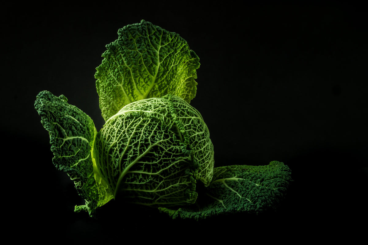 modern-3-piece-acrylic-print-the-cabbage