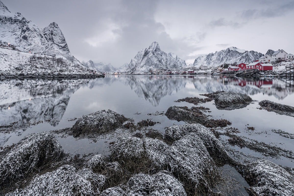 canvas-print-reine-x