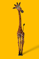 acrylic-print-sweety-giraffes