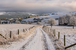 framedposter-print-winter-wonderland