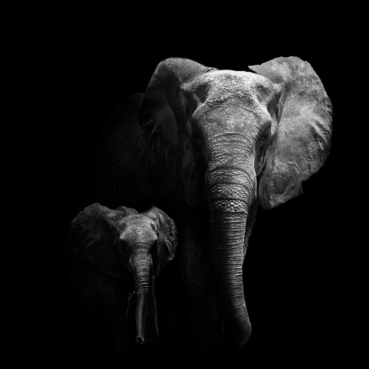 acrylic-print-mother-and-child-x