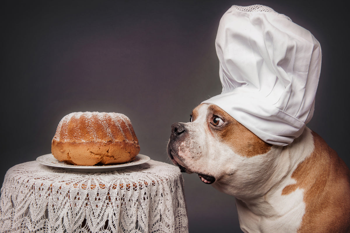 framedcanvas-print-the-confectioner-and-his-masterpiece-x