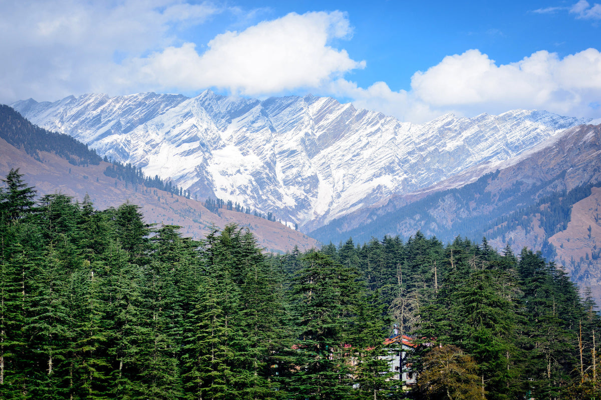 canvas-print-view-of-manali