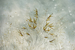 poster-print-wintertime-x