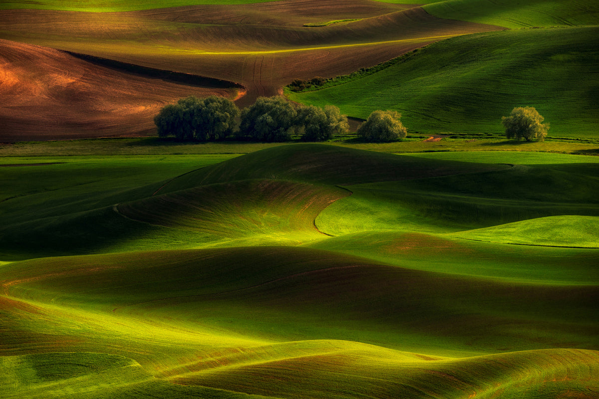 3-piece-canvas-print-spring-in-the-palouse