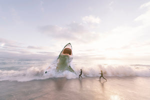 acrylic-print-beware-shark
