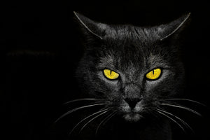 framedcanvas-print-monster-kill-x