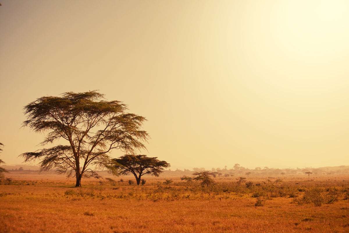 modern-3-piece-aluminium-print-pastures-in-kenya