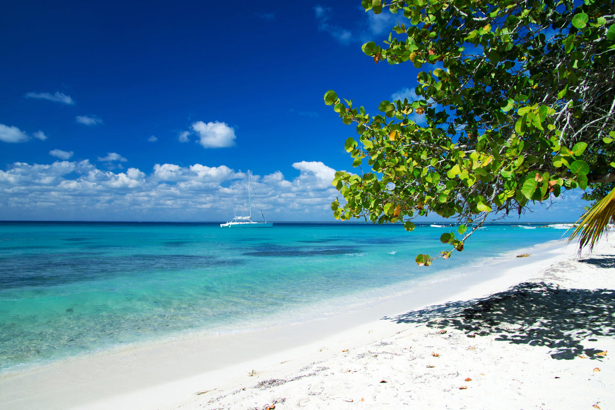 canvas-print-happy-beach