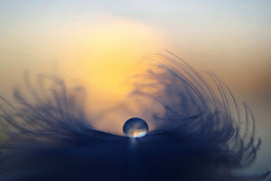 framedposter-print-morning-ii