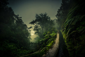 framedposter-print-levada-walk-x