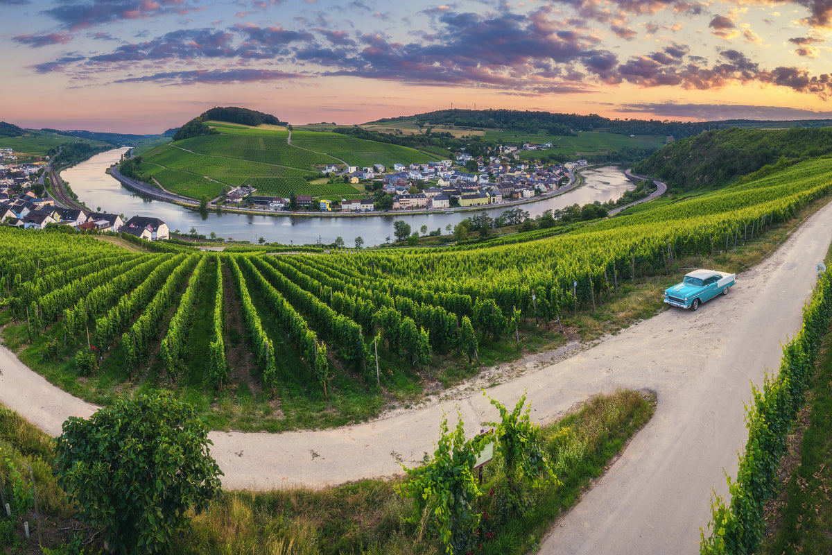 poster-print-moselle-bend-with-vineyards