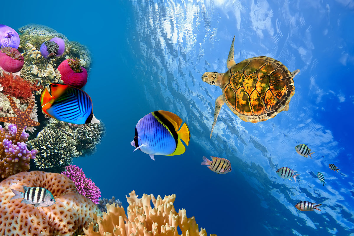 3-piece-canvas-print-fish-in-the-water