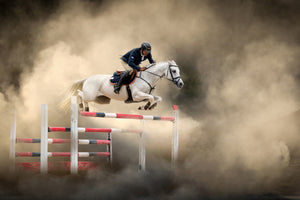 framedposter-print-white-horse-x